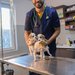 Anihelp - Cabinet veterinar